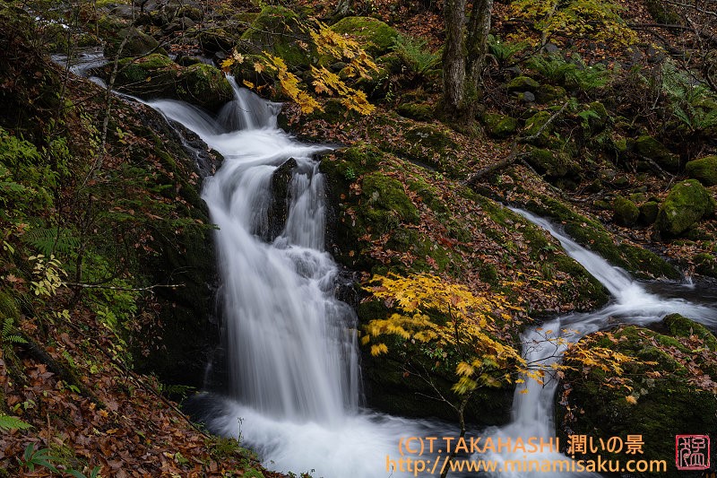 ../Images/7R251026 (276).jpg